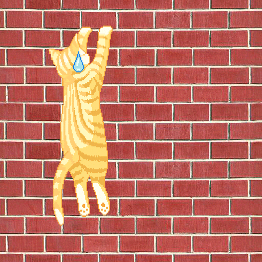 cat wall GIF