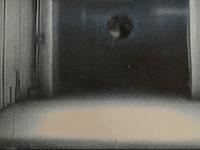 Footage Oaf GIF by jorgemariozuleta