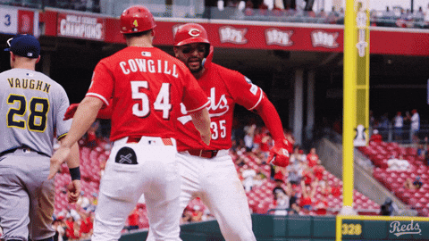 Celebration Yell GIF by Cincinnati Reds