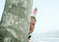 Peek-A-Boo Easter GIF by Paradise Hotel SE