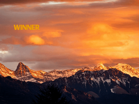 Germany Wow GIF by FranchiseCHECK.de