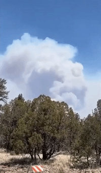 Smoke and Flames Seen in Southwestern New Mexico
