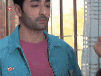 Danish GIF