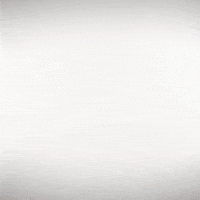 laugh out loud GIF by Hertha BSC