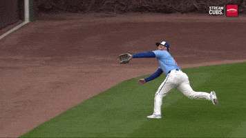 Chicago Cubs Sport GIF by MLB