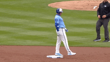 Get Loud Cubs GIF by TheDreamTeam 