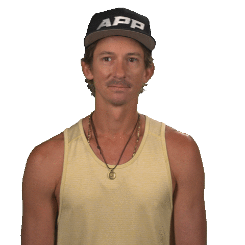 Pickleball Next Gen Sticker by APP