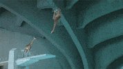 giraffe GIF