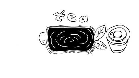 malabarsquirrel giphyupload GIF
