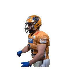 Football Sport Sticker by Dresden Monarchs