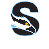 Osprey Sticker by Stockton University