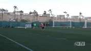 werder werderbremen GIF
