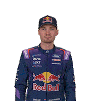 Well Done Driver Sticker by FIA World Rally Championship