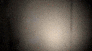 Band Philadelphia GIF by Topshelf Records