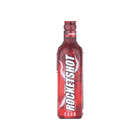 Party Shots Sticker by FLS Company Nederland N.V.