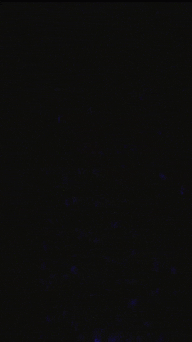 Tim Kasher Lime GIF by 15 Passenger