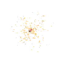 Ericchoi Sticker by Instagram Tag In Virtual GIF Booth