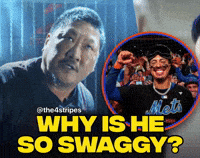 New York Mets Baseball GIF