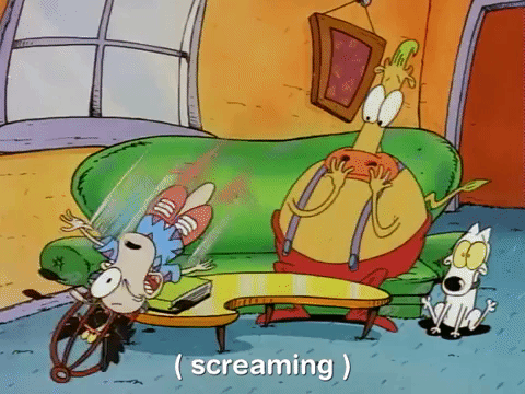 rockos modern life nicksplat GIF