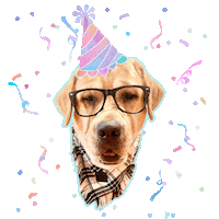 Happy Birthday Feliz Cumpleanos Sticker