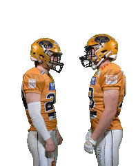 Football Sport Sticker by Dresden Monarchs