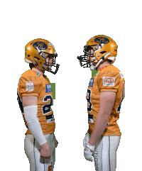 Football Sport Sticker by Dresden Monarchs