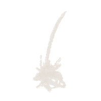 Hartem Sticker by Mi Tienda de Arte