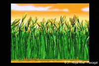 Happy Food GIF by Royalrivermusik