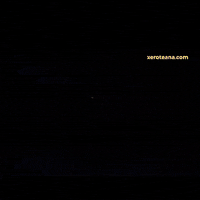 Panais GIF by airballoon