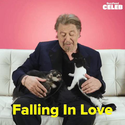 Al Pacino Falling In Love