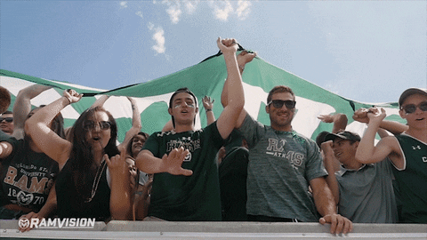 csu rams fans GIF by Colorado State Rams