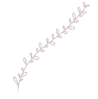 Rose Plant Sticker