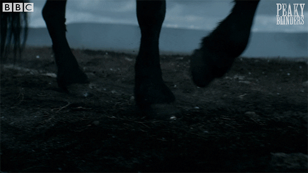 Bbc One Horse Riding GIF by BBC