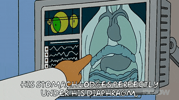 Episode 2 Xray GIF by The Simpsons