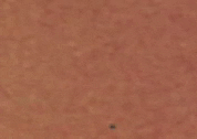 Art Film GIF by jorgemariozuleta