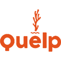 Quelp kelp algas cochayuyo quelp Sticker