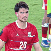 Fifa GIF