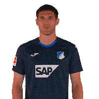 Sport Bundesliga Sticker by TSG Hoffenheim
