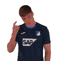 Sport Bundesliga Sticker by TSG Hoffenheim