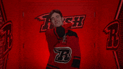 Patontheback GIF by Rapid City Rush