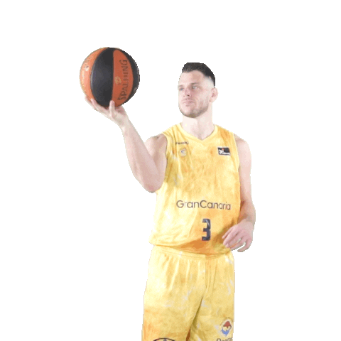Liga Endesa Spinning Sticker by ACB
