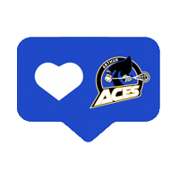 Aces Lacrosse Sticker by Ontario Lacrosse