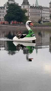 gomorgenradio andreas dont look mikkel gomorgenp3 GIF