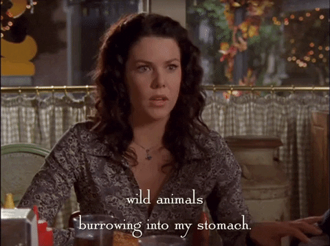 season 3 netflix GIF by Gilmore Girls 