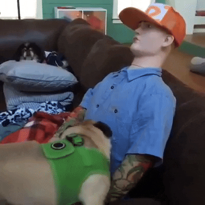 cuteanimalland giphyupload GIF