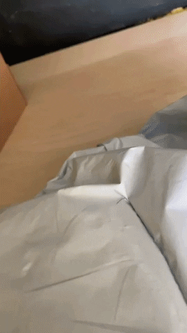 Spliter giphyupload GIF