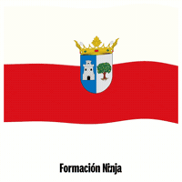 Bandera Andalucia GIF by Formación Ninja