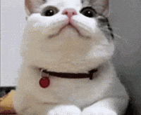 Nodding Yes GIF by Extreme Improv