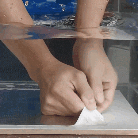 Daniel2399 giphyupload GIF