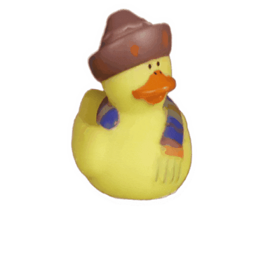 Rubber Duck Night Sticker by Quiz Meisters
